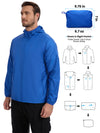 Royal-Blue